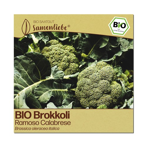 Brokkoli samen gemüsesamen - brokkoli,