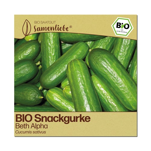 Bio gurken samen - gurken, beth