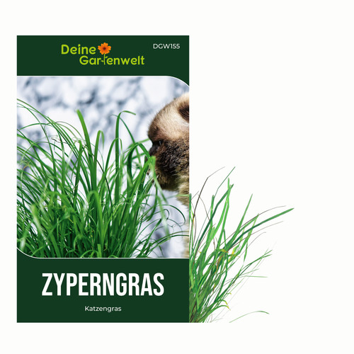 Zyperngras katzengras samen - katzengras,