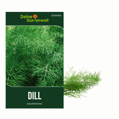 Dill gewöhnlicher samen - dill,
