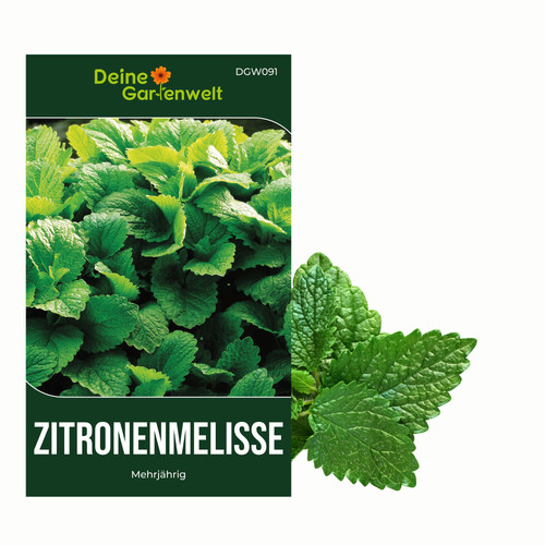 Zitronenmelisse samen - ,
