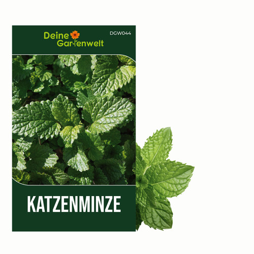 Katzenminze samen nepeta - samen,