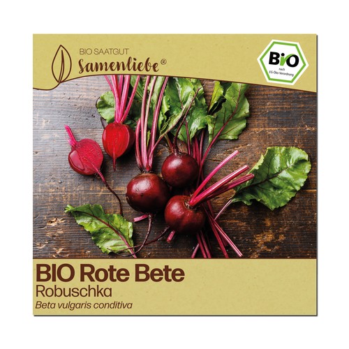 Bio rote beete - beete, samen