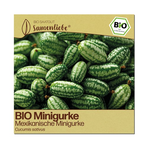 Bio gurken samen mexikanische - gurken,