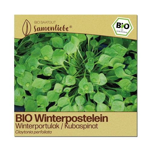 Bio winterpostelein samen - bio,