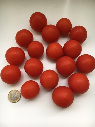 Ruthje tomate 15 bio - bio, samen