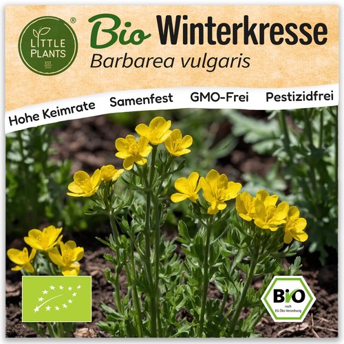 Winterkresse samen - winterkresse, (bio)