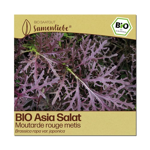 Bio salat samen sorte moutarde - samen,
