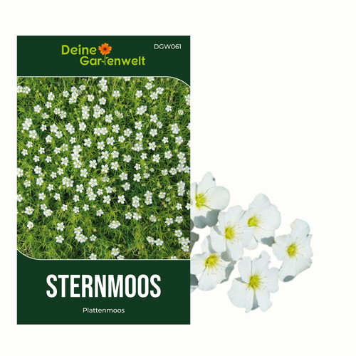 Sternmoos plattenmoos samen - plattenmoos,