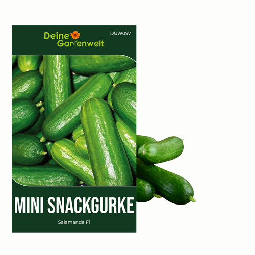 Mini snackgurke salamanda - mini,