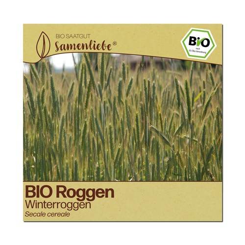 Bio roggen samen sorte - roggen,