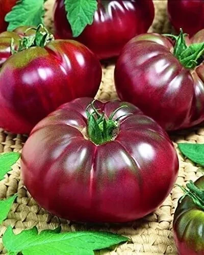 Tomatensamen russischen - (8+);,
