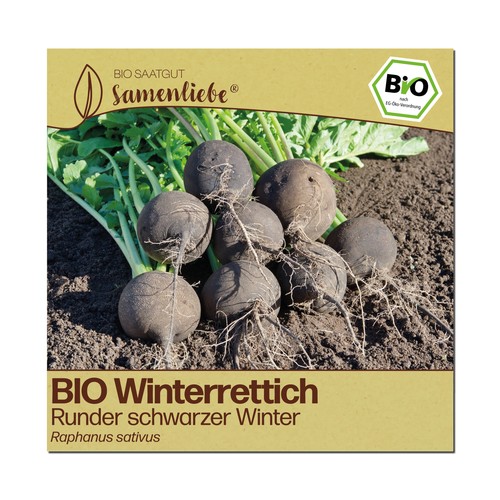 Bio rettich samen sorte - samen, runder