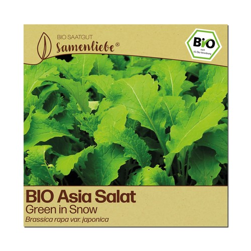 Bio salat samen sorte green - salat,