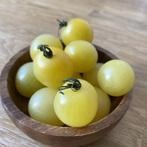 Tomatensamen cherrytomate - ,