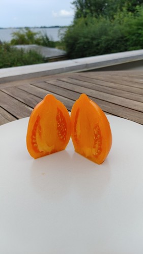 Mango django tomaten samen - mango,