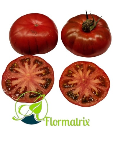 Tomatensamen fleischtomate - tomatensamen,