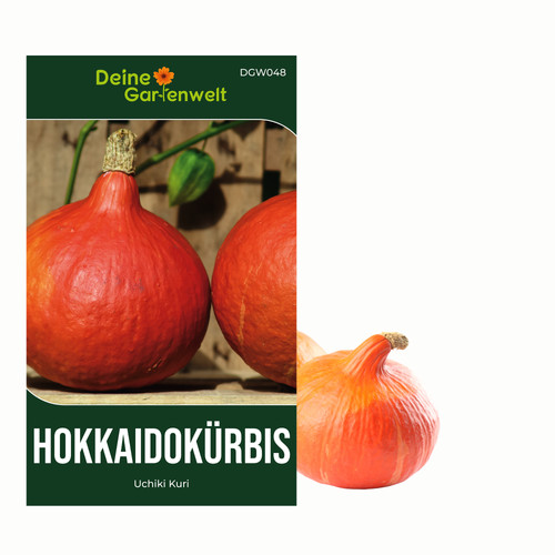 Hokkaido kürbis uchiki kuri - hokkaido,