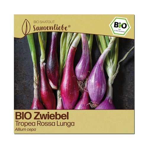 Bio zwiebel samen - samen, tropea