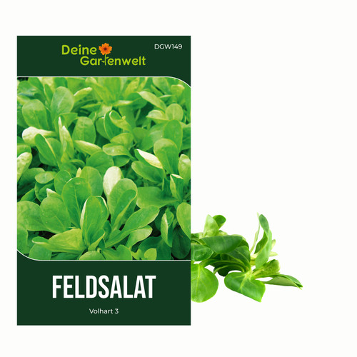Feldsalat volhart samen - 3,