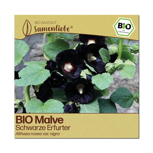 Bio malve samen - bio,