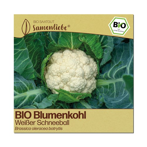 Bio blumenkohl samen - bio, sorte