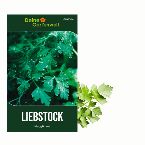 Liebstöckel maggikraut samen - maggikraut,