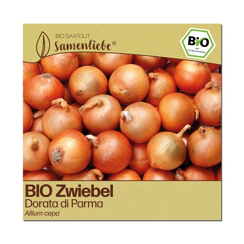 Bio zwiebel samen - zwiebel,