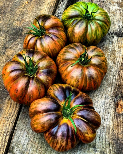 Tomatensamen usa sorte - tomatensamen, (8+);
