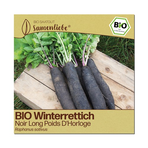 Bio rettich samen - bio,