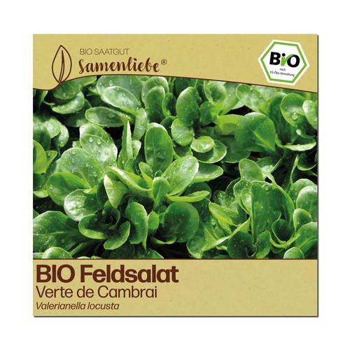 Bio salat samen sorte verte - samen,