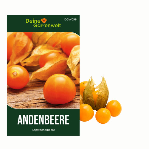 Andenbeere kapstachelbeere - andenbeere,