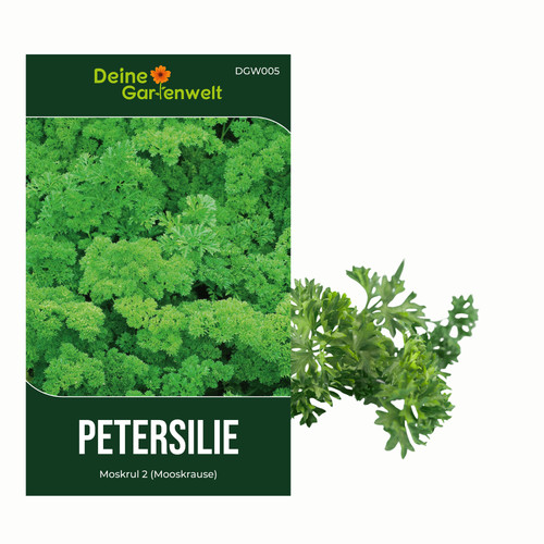 Petersilie moskrul samen - petersilie,