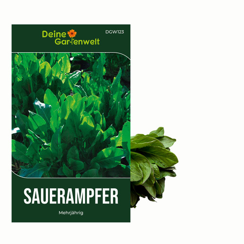 Sauerampfer mehrjährig samen - mehrjährig,