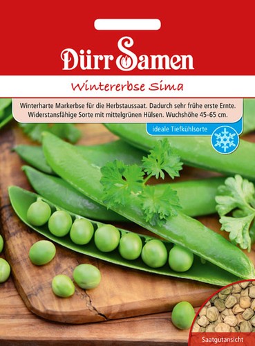 Wintererbsen sima saatgut - saatgut, von